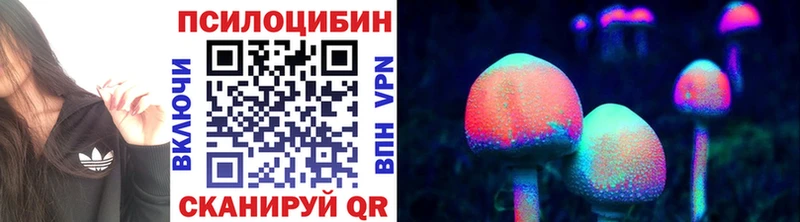 blacksprut tor  Шиханы  Галлюциногенные грибы ЛСД 